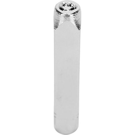 Punzón manual de 6 mm (1/4") para grabado en metal, joyería y manualidades - Diseño Piglet (1/5)