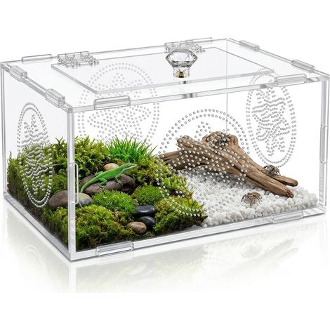 Terrarium Vivarium, Terrarium Reptile, Terrarium Acrylique, Boîte D'Alimentation D'Insectes Polyvalent pour Araignées, Lézards, Grenouilles, Coléoptères et Autres Reptiles et Insectes, 20 x 15 x 10 cm (1/5)