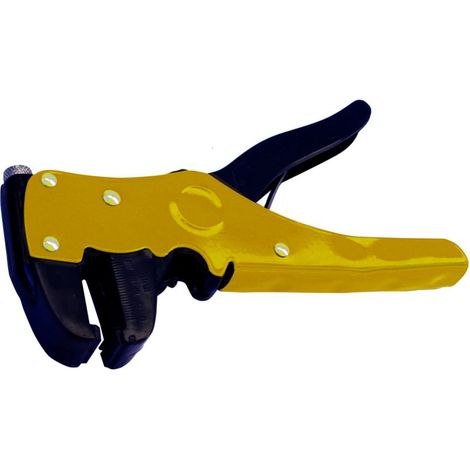 Pinza spelafili