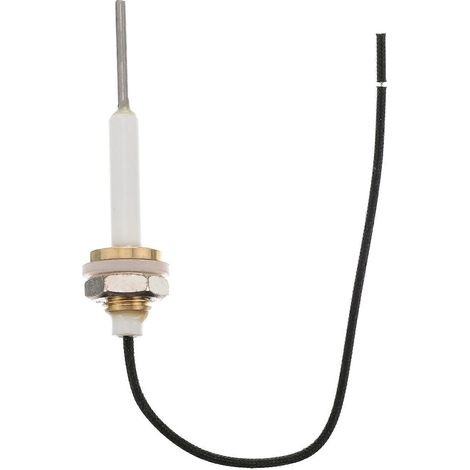 Sonde de niveau compatible pour chaudière à vapeur (avec capteur de rechange) (1/5)