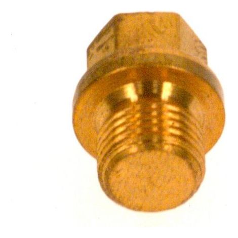 BOSCH Bouchon M10x1 everp, 7100785