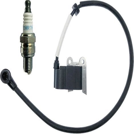 Bobine d'allumage haute tension compatible avec sèche-cheveux 150BT 350BT 150BF 350BF avec bougie d'allumage (1/3)