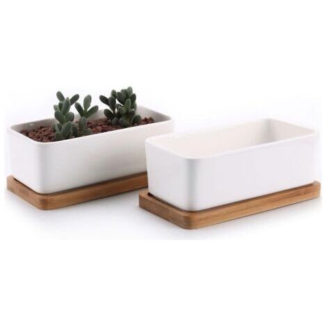 17cm Pot de Succulent en Céramique avec Plateau en Bambou Blanc Lot de 2, Cactus Plante Planteur Cache Pot Jardinière Contenant Cadeau pour Anniversaire Mariagedengyank