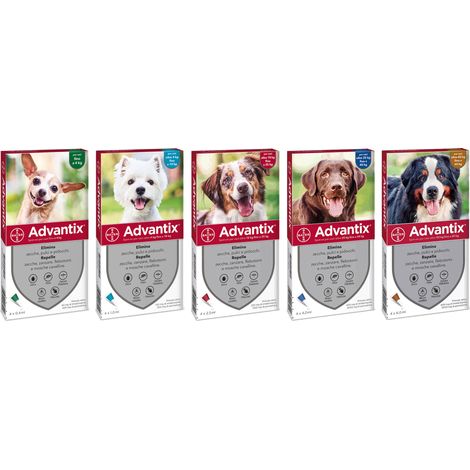 Bayer ANTIPARASSITARIO ADVANTIX (4 pipette) per cani 25÷40 kg.