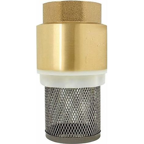 Clapet crepine anti retour 1/2、3/4、1、2 pouce - vanne non retour clapet anti-retour pompe (1/2 pouce) (1/2)