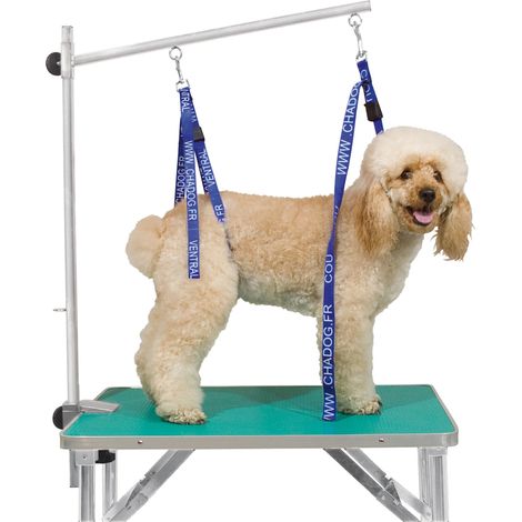 Sangle de toilettage tour de cou 15mm – Fermoir à pince réglable – Boucle d'attache rapide – Pour chiens et chats – Chadog (1/3)