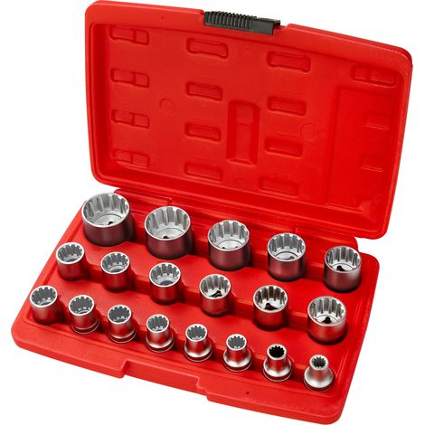 Stecknuss Set 19tlg 1/2 Zoll Vielzahn 12-Kant Ratschen Nüsse Aufsteckschlüssel (1/4)