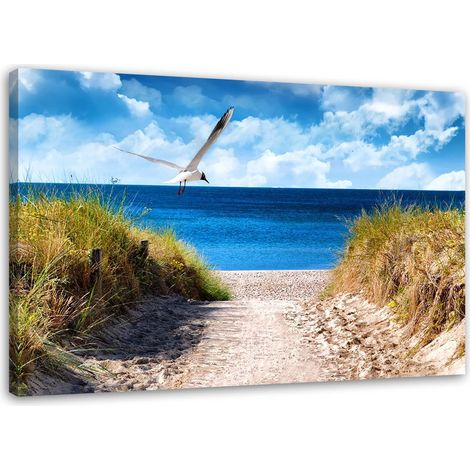 Foto su tela Spiaggia Dune di mare Gabbiani - 60x40 (1/5)