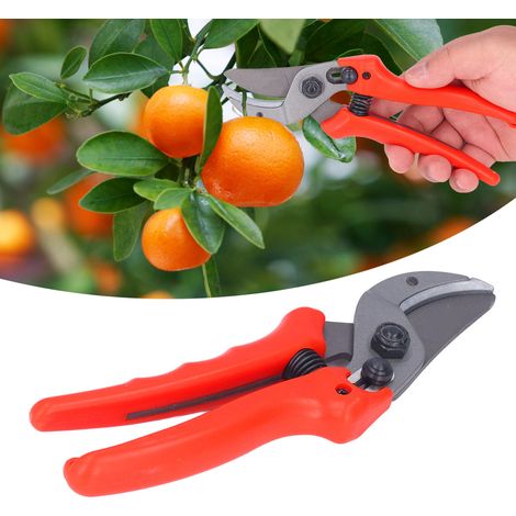 Gartenschere, Obstbaumschere, Gartengeräte, Gartenschere (1/5)