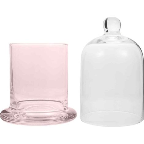 1 Cloche en verre, transparent, design épuré, cloche décorative, intérieur, plantes, objets collection