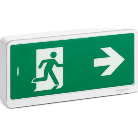 Schneider Electric – Bloc d'évacuation Exiway IP42 – Autonome 1h – 45 lumens – Installation murale ou plafond – Étiquettes adhésives incluses (1/4)