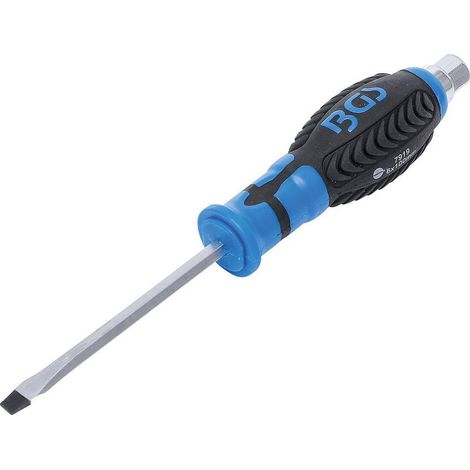 Tournevis Fente 6 mm - Lame 100 mm, Manche Hexagonal Mâle - Précision et Confort d Utilisation - D-Work (1/5)