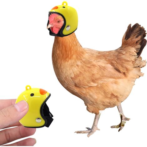 Casque poulet dessin animé casque petite volaille réglable sécurité animaux