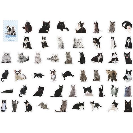 50 autocollants réalistes chats noir et blanc, faciles à coller, pour scrapbooking, calendriers, agendas et journaux (1/5)