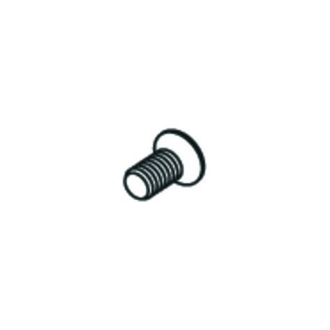 SCHELL Vis de fixation