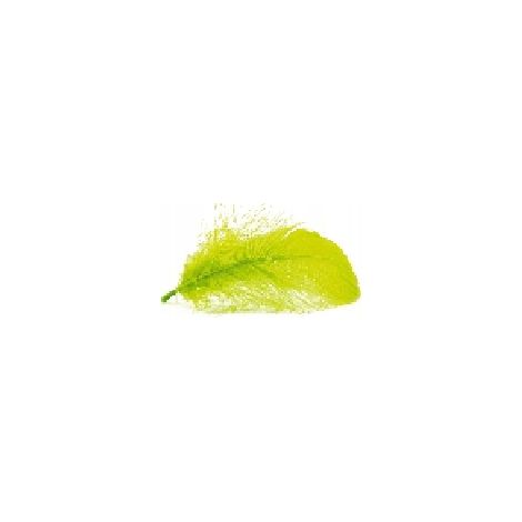 Plumas decorativas, 1 paquete, Pistacho (1/5)