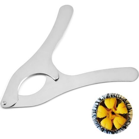 1 pack of sea urchin scissors, sea urchin tongs, chestnut scissors, professional sea urchin scissors (1/4)