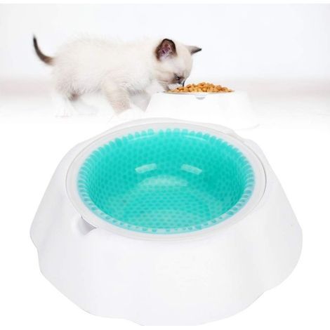 QAZQA 17 cm/6,6 Zoll Kühlwassernäpfe für Hunde, Katzen und Haustiere – Mattiertes Grün – Kühlwasser-/Futternapf, Grün (1/5)