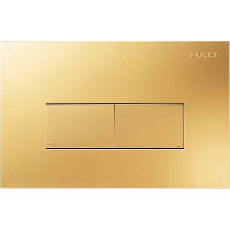 PLACCA PER CASSETTA INCASSO PUCCI ECO 2 PULSANTI LINEA MOD.2014- Oro Giallo- PUCCI- pezzi 1 (1/4)
