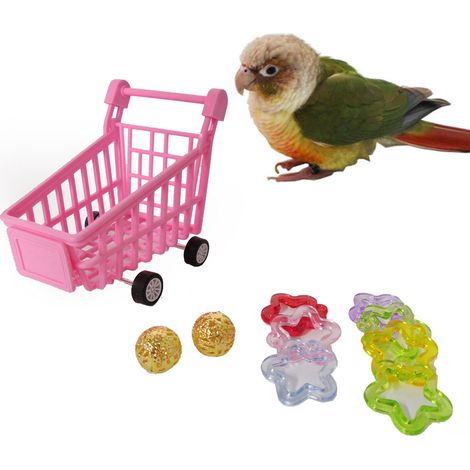 Panier À Roulettes Pour Oiseaux - Jouet Éducatif En Plastique Non Toxique Avec Balles Et Anneaux - Pour Perroquets Perruches Calopsittes Et Conures - Lot De 3 Pièces (1/5)