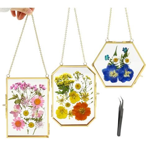 Lot de 3 cadres de fleurs pressées avec chaîne, petit cadre flottant avec pince à épiler, 3 formes, décoration murale double en verre pour fleurs pressées et plantes pour décoration à faire (1/5)