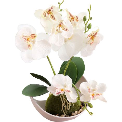 Plante Artificielle - Orchidée Phalaenopsis - Pot Forme De Lune - Décoration Intérieure - 1 Pièce (1/5)