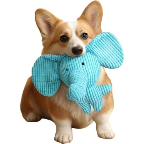 Lapin en peluche bleu avec couineur (1/5)