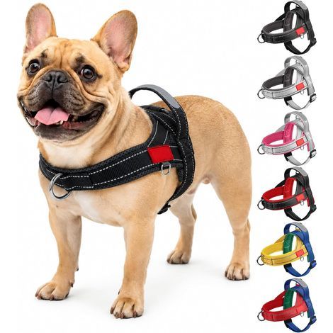 Harnais Anti Traction pour Chien de Taille Petit Moyenne et Chiot, Harnais Réfléchissant Réglable pour Chiens avec Poignée de Contrôle, Gilet Facile à Mettre (Noir Gris, XL) (1/5)