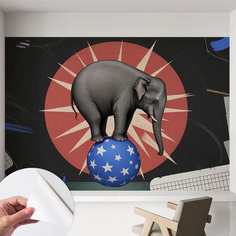 Papier peint autocollant avec imprimé pour cuisine facile à appliquer pour mur a motif Éléphant de cirque 152x104 cm (1/5)