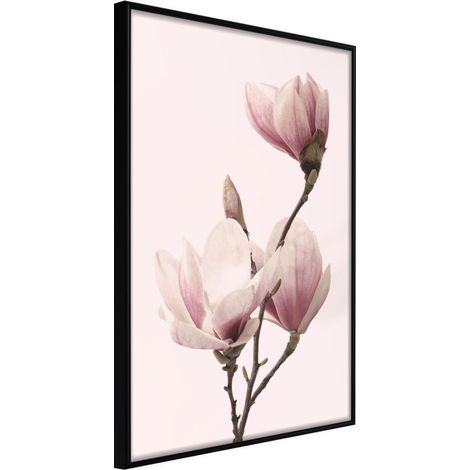 Affiche Murale Encadrée "Blooming Magnolias III" 21 x 30 cm Noir
