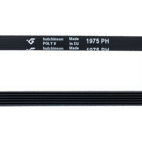 Correa 1975 H6 Compatible con Zanussi Bosch Merloni Transmisión Ranurada de 6 Pistas Recambio Reforzado