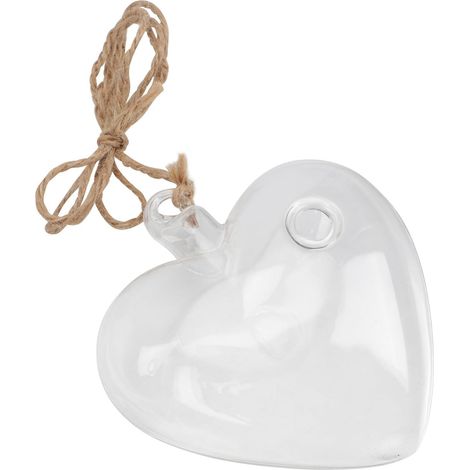 Vase hydroponique en verre transparent forme de cœur Uonlytech, idéal (1/5)