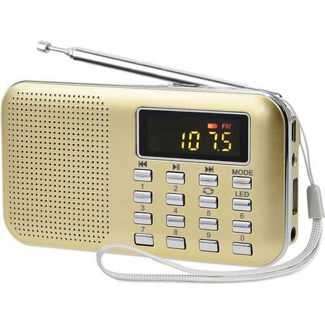 Poste Radio Portable, Radio FM AM Piles et Secteur, MP3, Enceinte, Support TF Card/USB, Torch, Convient (Doré) (1/4)