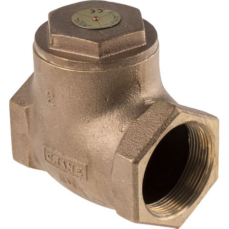 Clapet antiretour en Bronze RS PRO BSPT 2" ( Prix pour 1 ) (1/3)