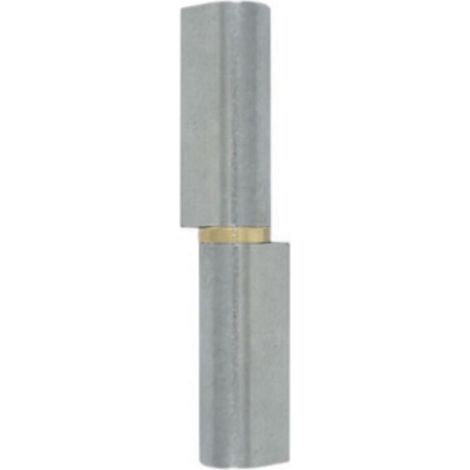 – 100 mm Messingring-Anschweißband – Wendbares Torband – Stahlstift – 106 (1/5)
