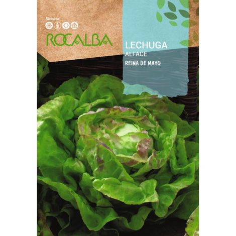 Rokalba Leguga Queen vom 6. Mai