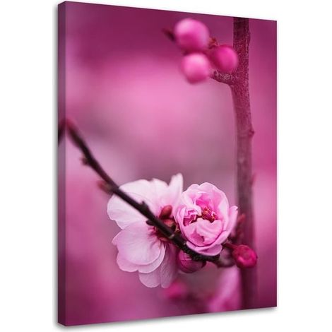 Stampa su tela, Fiore rosa e boccioli su un ramo - 70x100 (1/4)