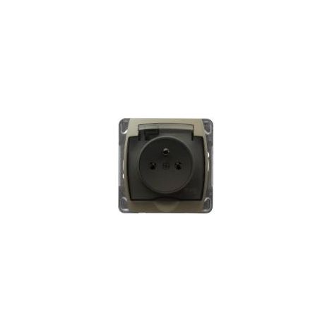 Enchufe AS a prueba de salpicaduras con tapa transparente IP44, acabado satinado, luz GPH-1GZ/m/45/d