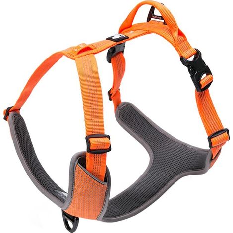 Harnais pour chien réglable et confortable avec laisse réfléchissante