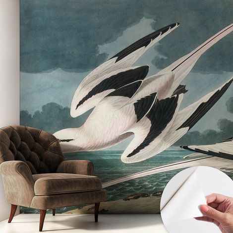 Papier peint autocollant avec imprimé pour décoration intérieure pour rénovation a motif Oiseaux au bord de la mer 250x250 cm (1/5)