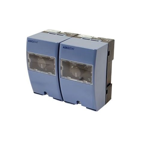 Thermorégulateur RAZ-TW.1000P