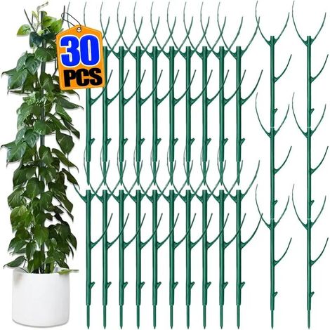 (30 pièces) Tuteur pour plantes grimpantes, piquet de fixation pour bonsaï, support pour plantes de jardin, support pour fleurs en pot (1/5)