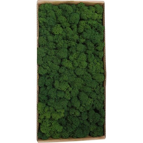 Irovami Décoration mousse préservée – naturelle, sans entretien, intérieur (1/5)