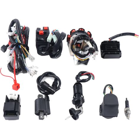 Kit de cableado, unidad CDI completa, bobina de encendido, negro (1/5)
