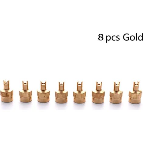Lot de 8 bouchons de valve à tête fendue pour pneus de voiture (16 x 8,5 mm) avec outil de démontage d'obus pour moto