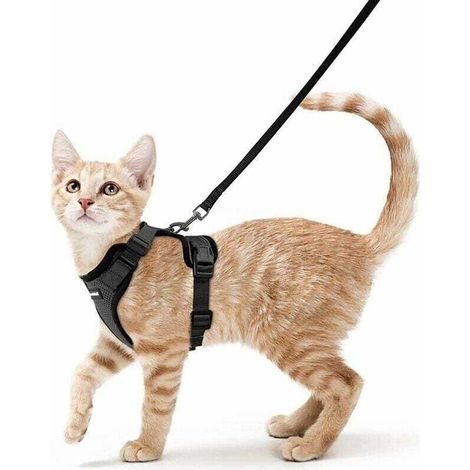 Harnais Chat Petit Chien Laisse Harnais Chaton Réglable Noir S Collier Harnai Chat Refléchissant Gilet Respirant pour Lapin, Chat Européen, Maine Coon, Persan, Attache Dessus avec Laisse (1/5)
