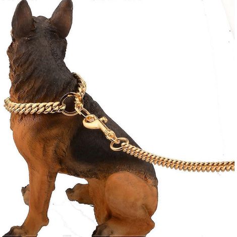 Laisse pour chien SZCZW en métal de 10 mm avec poignée rembourrée, pour chiens de taille moyenne, couleur or. (1/5)