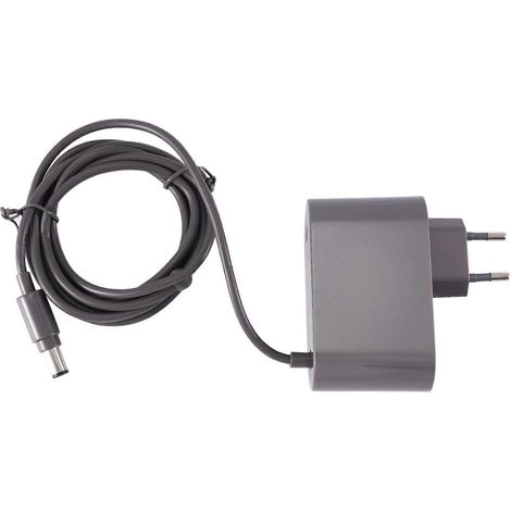 Chargeur pour aspirateur Dyson DC30, DC31, DC34, DC35, DC44, DC45, DC56, DC57 - Adaptateur secteur prise UE (1/5)