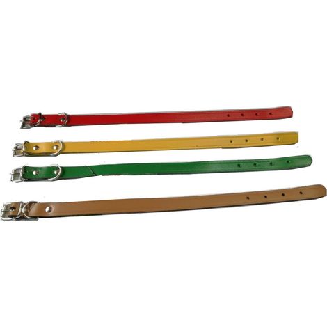 Colore Lare in Cuoio Cm 37 x 1 6 Colore Assortiti 6 Pezzi Utilia Pet (1/3)