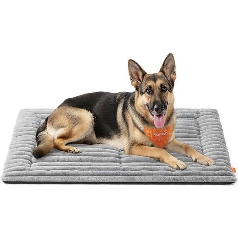 Hundedecke, XXL 120 x 75 cm, gerippter Plüschstoff, rutschfest, Taubengrau, für Zuhause und Reisen (1/5)